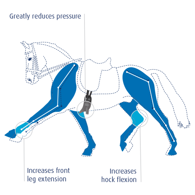 Prolite Long Girth Narrow Brown-1